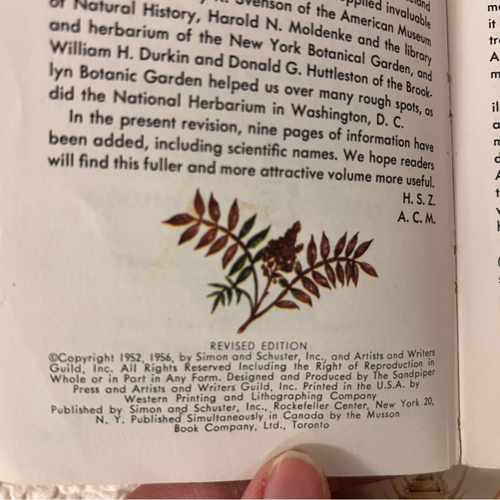 Vintage Set of 5 Golden Nature Guide Book Collection Paperback - Picture 10 of 12